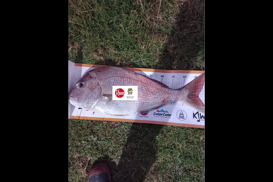 Dylan Brockway caught this 56.5cm Snapper at Taranaki during The Export NZ Fishing Competition