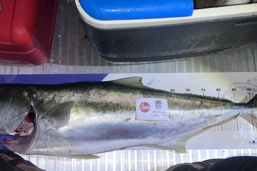 Reynaldo Mamacos caught this 96.0cm Kingfish at Makara, Wellington during The Export NZ Fishing Competition