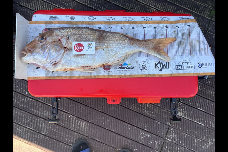 Nick Irving  caught this 58cm Snapper at matata during The Export NZ Fishing Competition