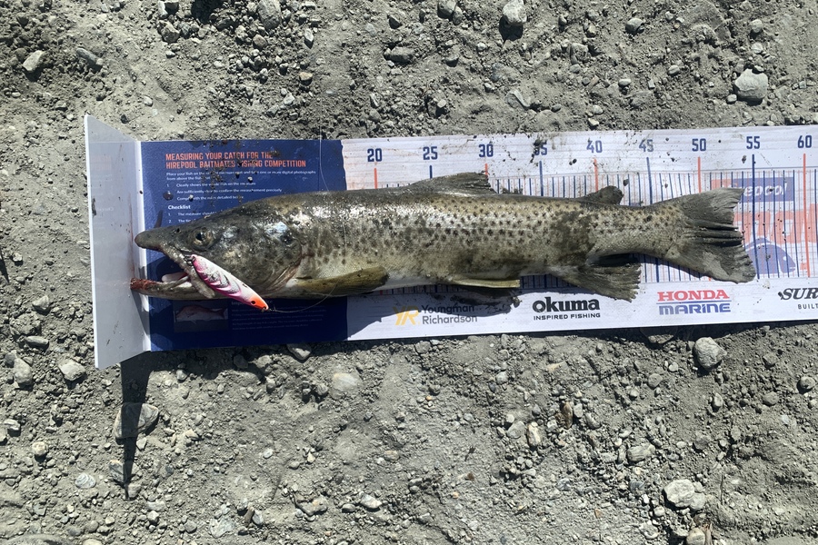 James Towers caught this 53.0cm Trout at Queenstown during The Export NZ Fishing Competition