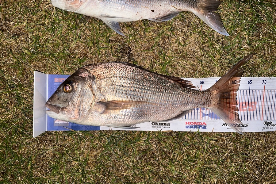 Natalie Barnes caught this 61.0cm Snapper at Far North during The Export NZ Fishing Competition