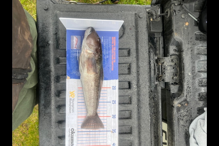 Hunter Dawson caught this 34cm Blue Cod at Colac bay during The Export NZ Fishing Competition