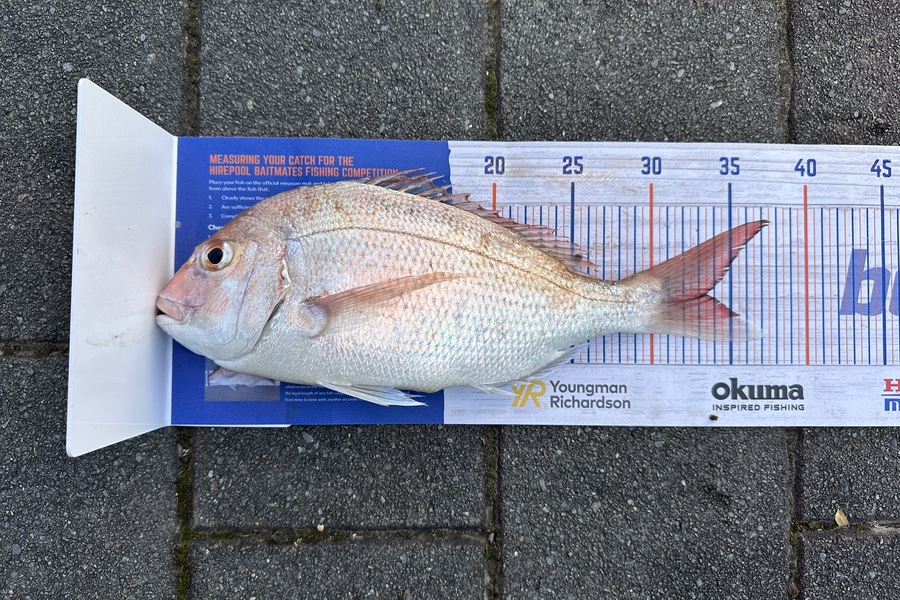 Mason Gestro caught this 32cm Snapper at Kapiti during The Export NZ Fishing Competition