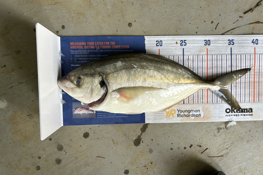 Erin Mcloughlin caught this 33.5cm Trevally at Hauraki Gulf during The Export NZ Fishing Competition