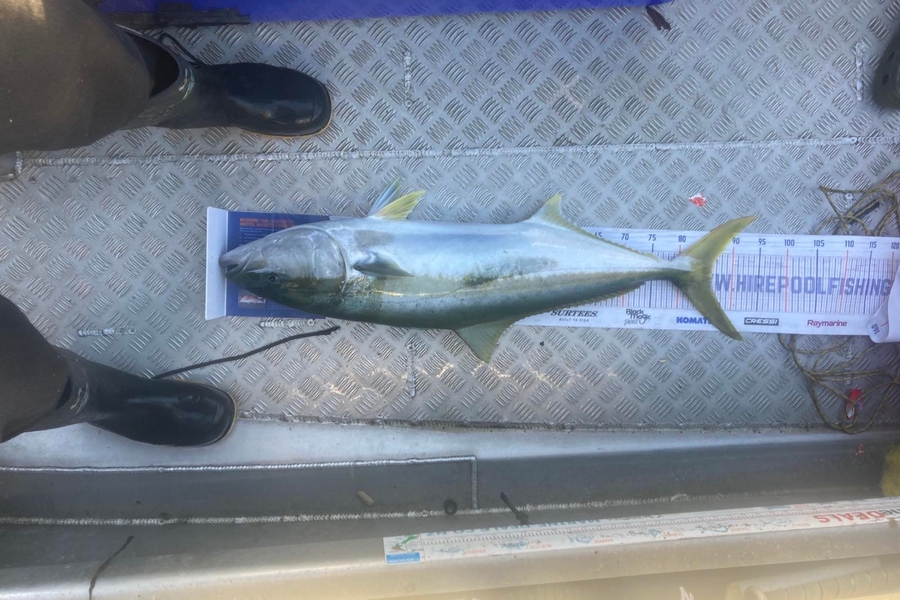 Carson Farley caught this 85cm Kingfish at Parengarenga  during The Export NZ Fishing Competition