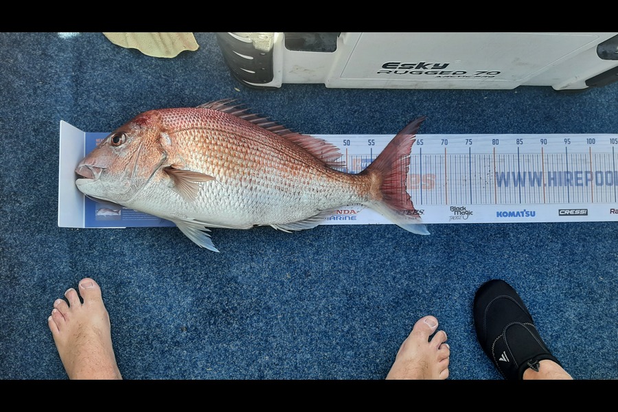 Fraser Gillespie caught this 62.0cm Snapper at New plymouth  during The Export NZ Fishing Competition