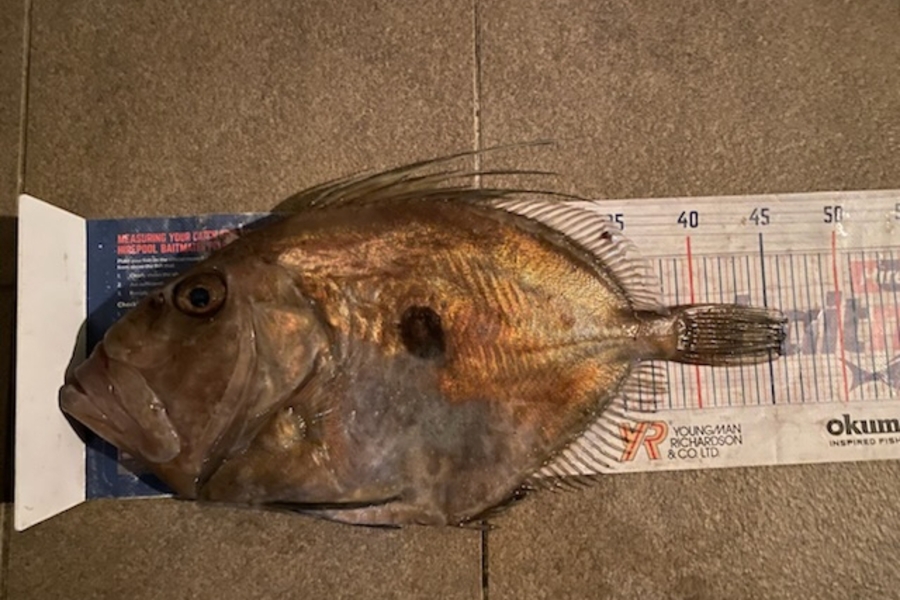 Mark Ray caught this 45cm John Dory at Northland during The Export NZ Fishing Competition