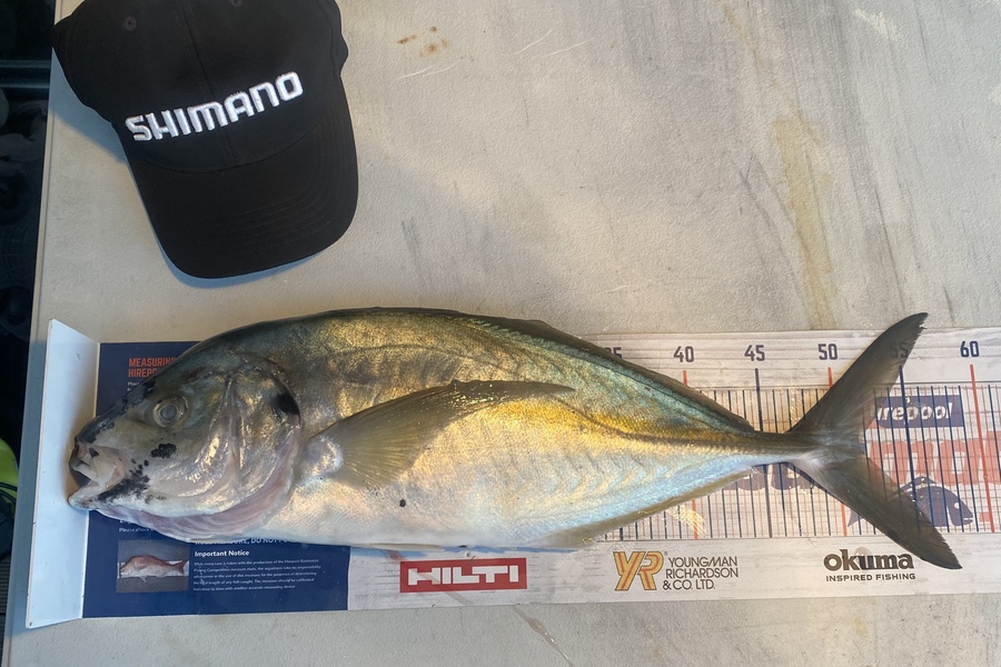 Stephanie  Fairweather  caught this 51.5cm Trevally at Mana during The Export NZ Fishing Competition