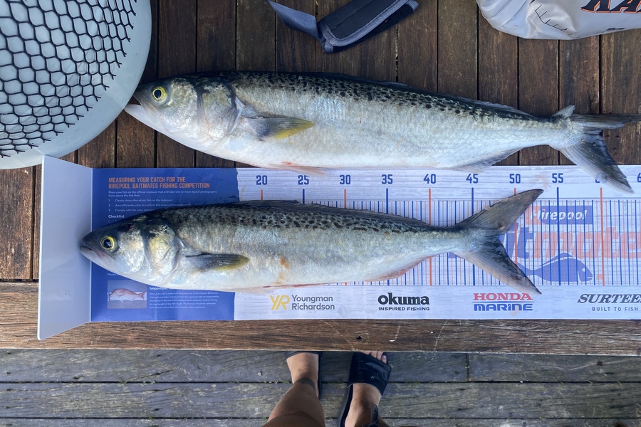 Michaela McGlade caught this 48.0cm Kahawai at Makara Beach during The Export NZ Fishing Competition