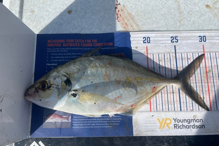 Liz Moore caught this 26.5cm Trevally at limestone . whangarei harbour  during The Export NZ Fishing Competition