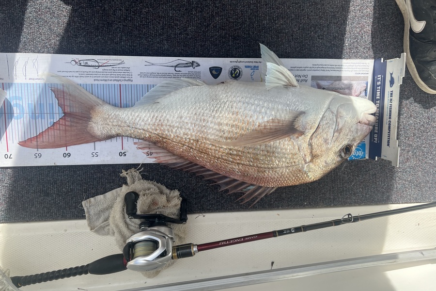 Andrew King caught this 60.0cm Snapper at Waiheke during The Export NZ Fishing Competition