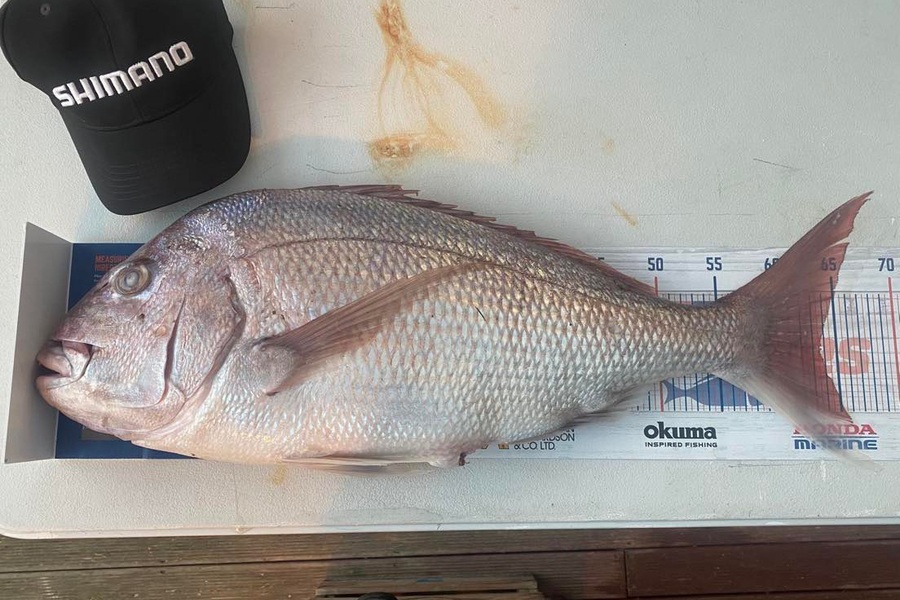 Samuel Georges caught this 63.5cm Snapper at Mana during The Export NZ Fishing Competition