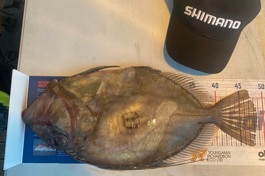 Samuel Georges caught this 48.5cm John Dory at Mana during The Export NZ Fishing Competition