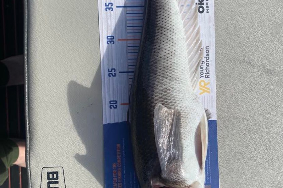 Mark Murrell caught this 46.0cm Blue Cod at Wellington South during The Export NZ Fishing Competition
