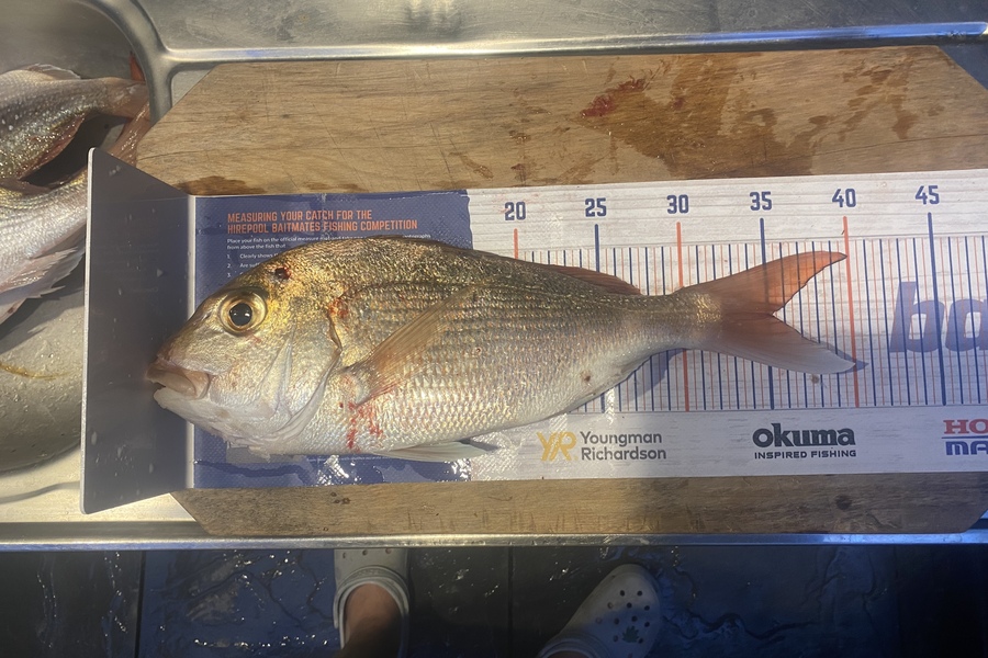 Mikayla Baird caught this 35.0cm Snapper at Pauanui  during The Export NZ Fishing Competition