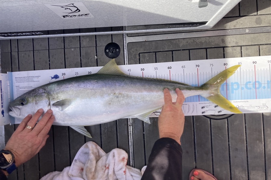 Shaine Pask caught this 77.5cm Kingfish at Whakatane during The Export NZ Fishing Competition