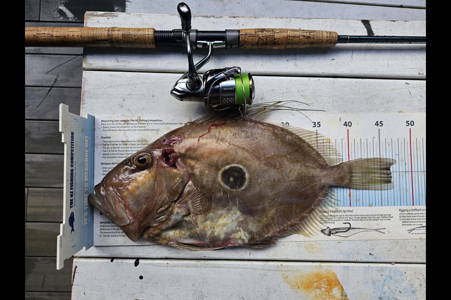 Alan Reelick caught this 46.5cm Snapper at Waiheke Island during The Export NZ Fishing Competition
