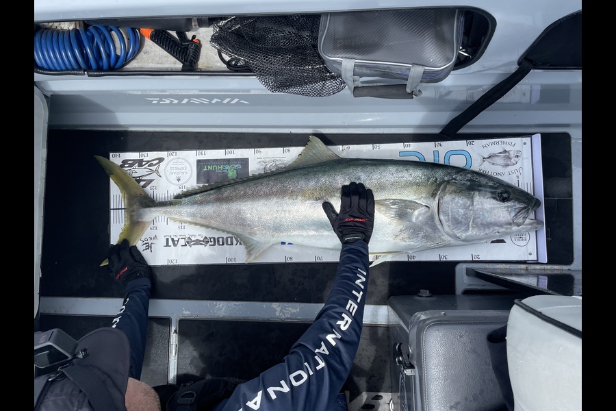Jereme Aubertin  caught this 135.0cm Kingfish at Cape Runaway during The Export NZ Fishing Competition