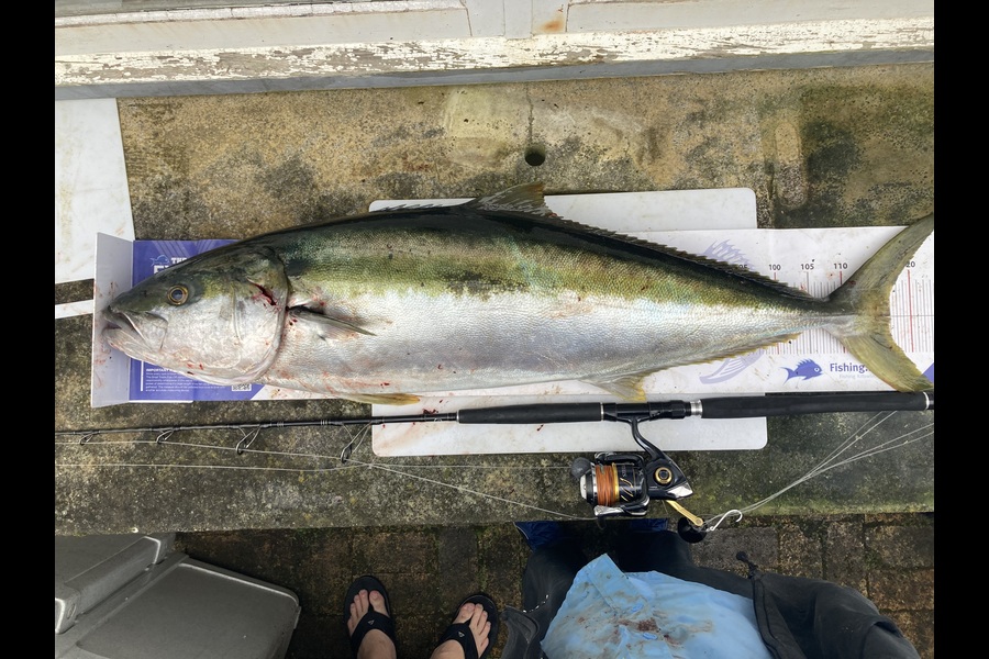 Neil Millar caught this 117.0cm Kingfish at Coromandel during The Export NZ Fishing Competition