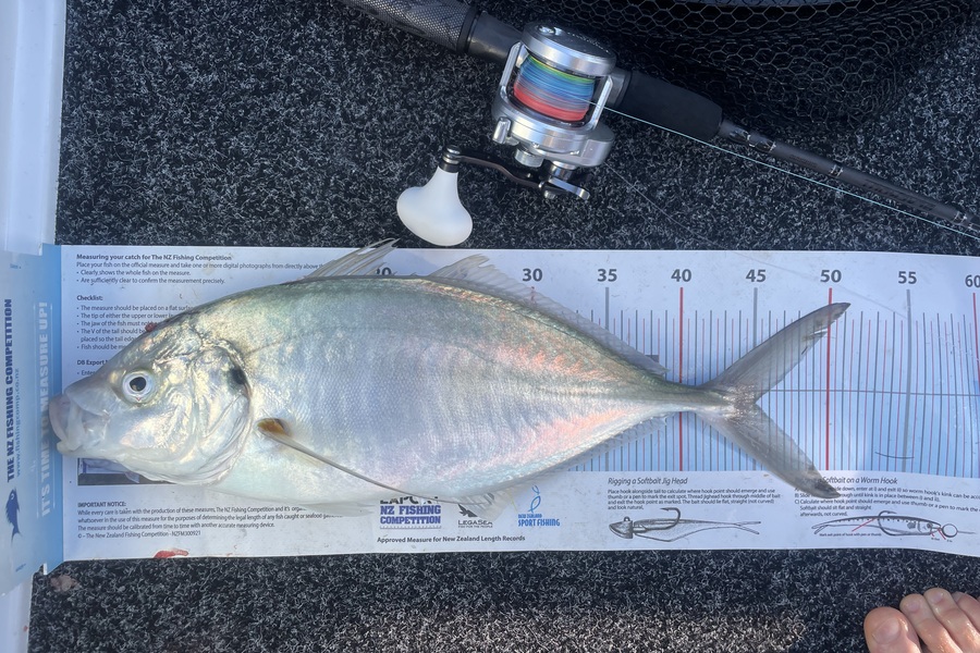 James McLean caught this 45.0cm Trevally at Coromandel during The Export NZ Fishing Competition