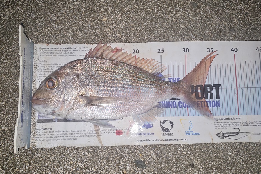Otele Etuale caught this 33.5cm Snapper at Auckland during The Export NZ Fishing Competition