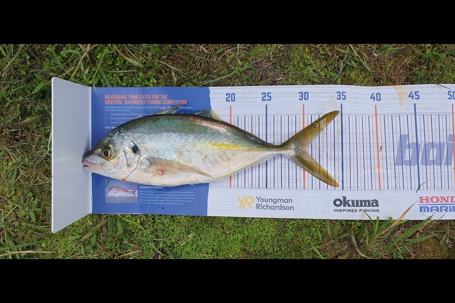 Simon Roberts caught this 30.0cm Trevally at Coromandel during The Export NZ Fishing Competition