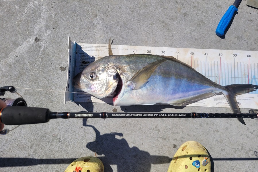 Jack Whitfield caught this 56.0cm Trevally at Northland during The Export NZ Fishing Competition