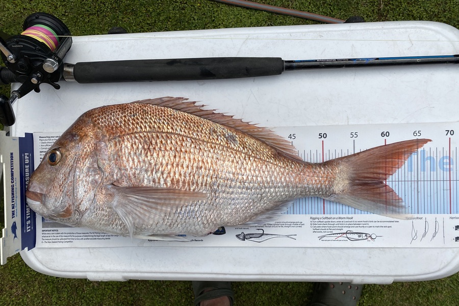 Hilman Solomon caught this 59cm Snapper at Waikato during The Export NZ Fishing Competition