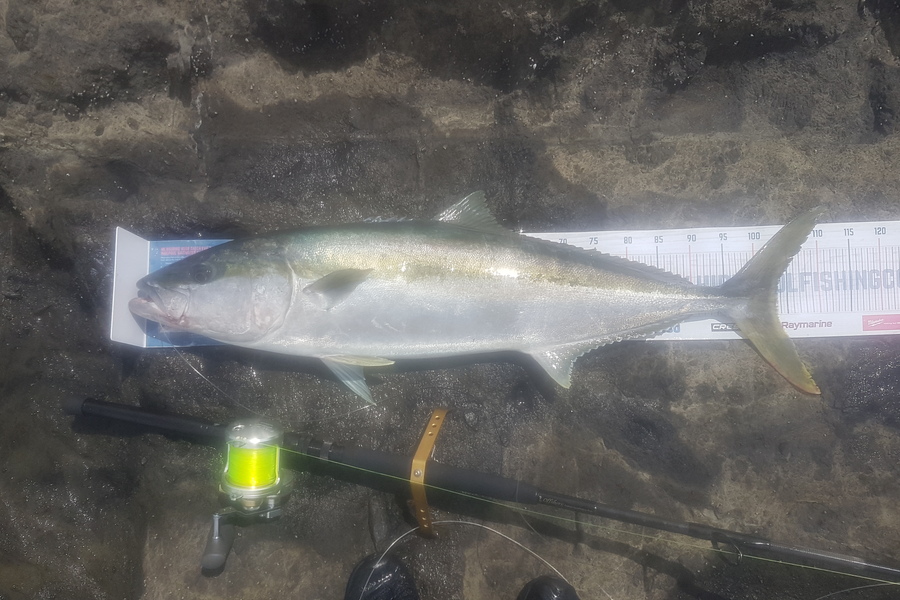 Paul White caught this 103.5cm Kingfish at East Cape during The Export NZ Fishing Competition