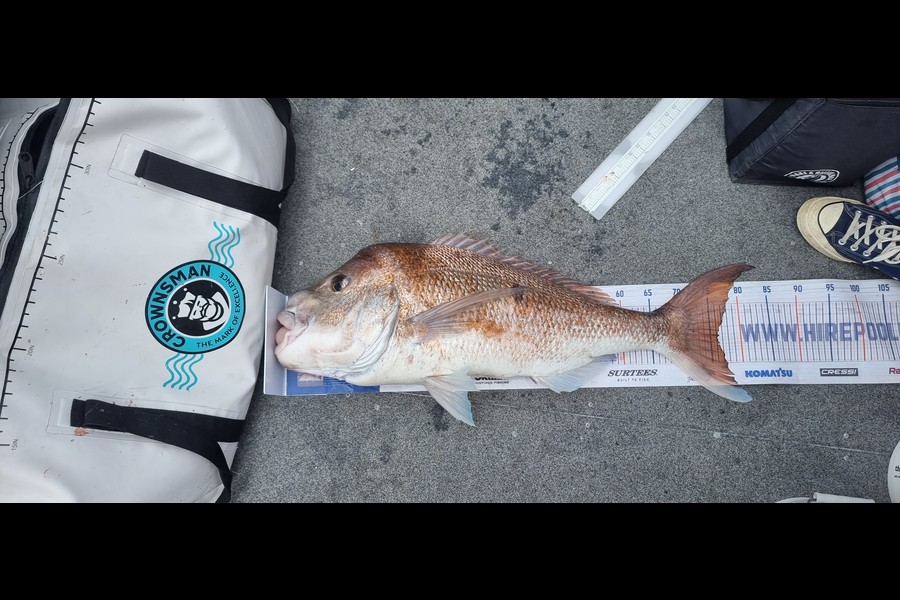 Simon Roberts caught this 76.0cm Snapper at Auckland during The Export NZ Fishing Competition