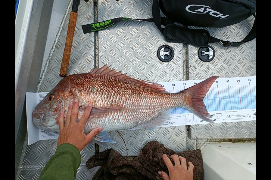 Claire Graham caught this 72.5cm Snapper at Northland during The Export NZ Fishing Competition