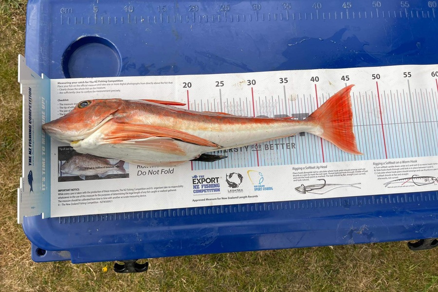 Dean OBrien caught this 45.5cm Gurnard at Wairarapa
 during The Export NZ Fishing Competition
