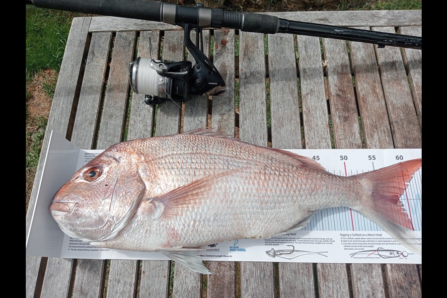 Nick Paku caught this 58.5cm Snapper at Wairarapa
 during The Export NZ Fishing Competition