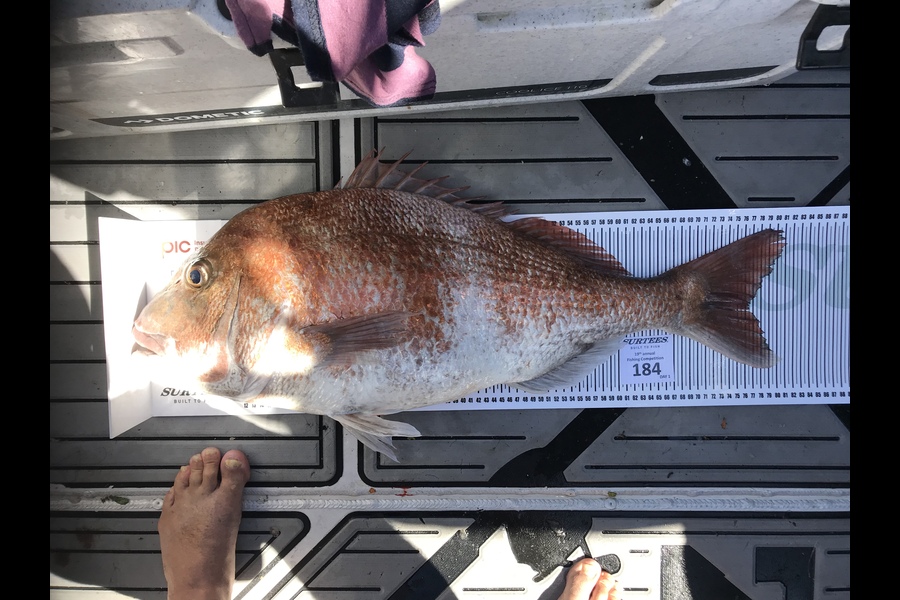 Brian Guptill caught this 76.5cm Snapper at Bay of Plenty during The Export NZ Fishing Competition