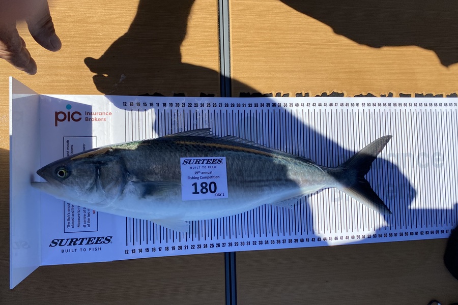 Michael Proffitt caught this 51.5cm Kahawai at Bay of Plenty during The Export NZ Fishing Competition