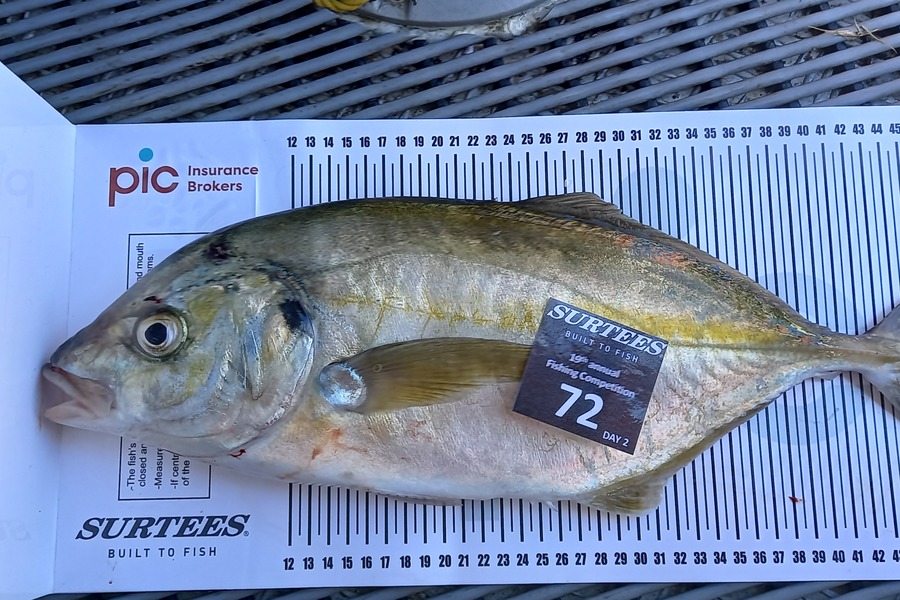 Janet Macky caught this 46.5cm Trevally at Bay of Plenty during The Export NZ Fishing Competition