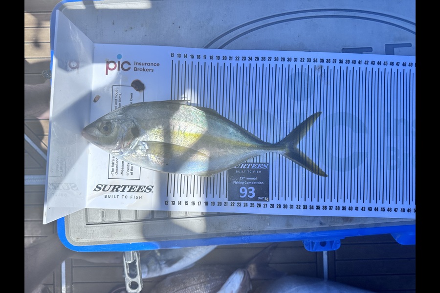 Kevin Mace caught this 31.5cm Trevally at Bay of Plenty during The Export NZ Fishing Competition
