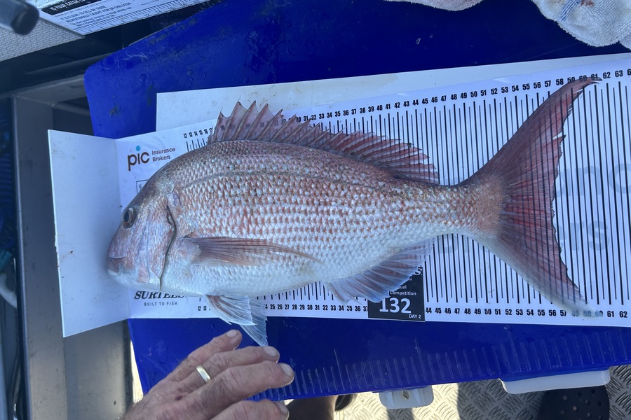 Raewyn Batten caught this 56.5cm Snapper at Bay of Plenty during The Export NZ Fishing Competition