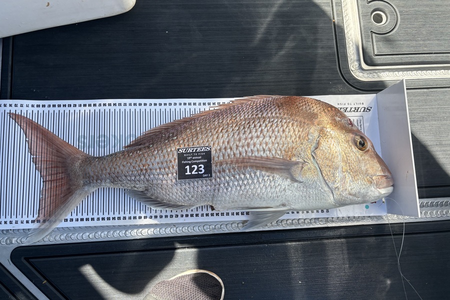 Sam  Calkin caught this 67.5cm Snapper at Bay of Plenty during The Export NZ Fishing Competition