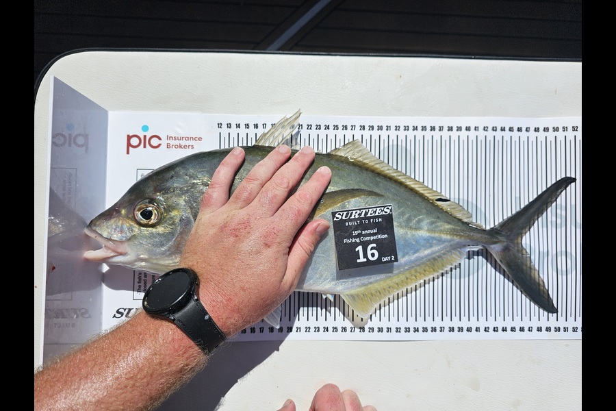 Michael Cooke caught this 46.0cm Trevally at Bay of Plenty during The Export NZ Fishing Competition