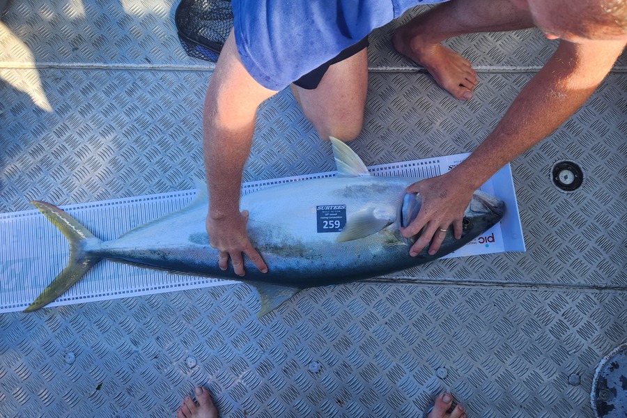 Toby Barkla caught this 107.0cm Kingfish at Bay of Plenty during The Export NZ Fishing Competition