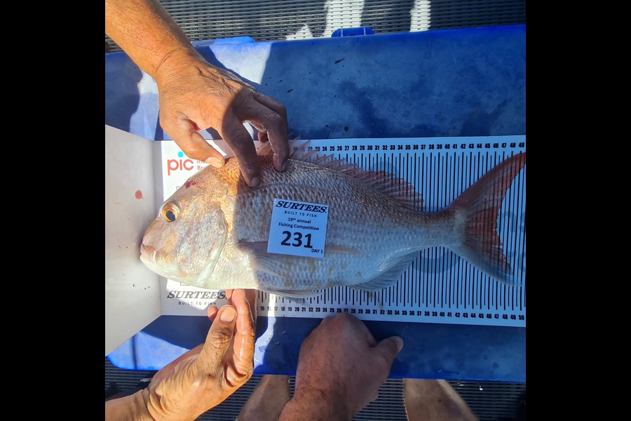 Patrick Wetini caught this 46.5cm Snapper at Bay of Plenty during The Export NZ Fishing Competition
