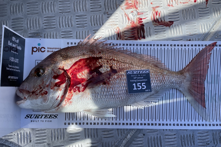 Troy Erdbeer caught this 51.0cm Snapper at Bay of Plenty during The Export NZ Fishing Competition