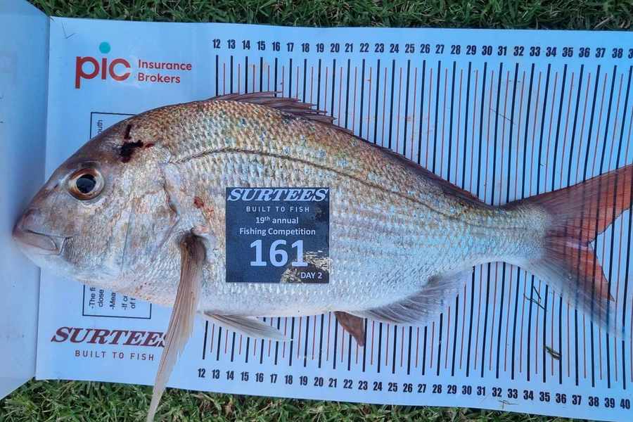 Joseph Johnson caught this 38.0cm Snapper at Bay of Plenty during The Export NZ Fishing Competition