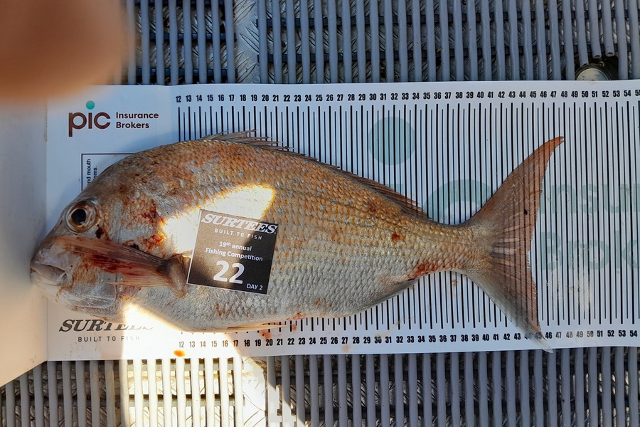 Dean Fox caught this 44.0cm Snapper at Bay of Plenty during The Export NZ Fishing Competition