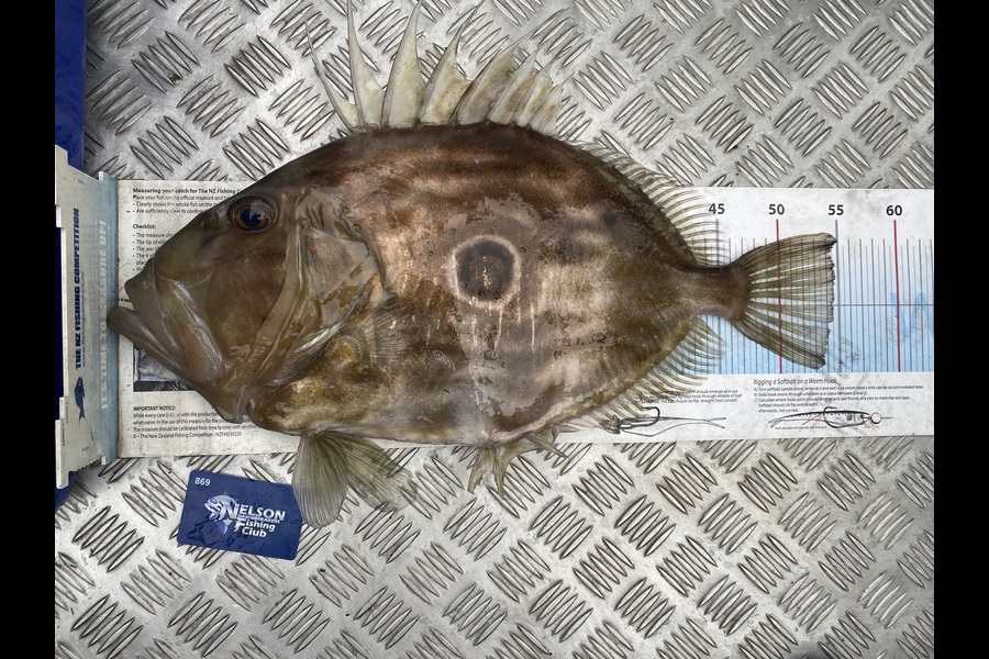 Karl Puklowski  caught this 54.5cm John Dory at Nelson/Marlborough during The Export NZ Fishing Competition