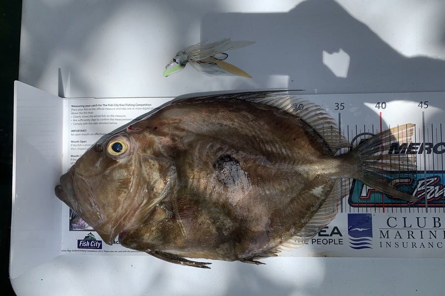 Laudic Charly caught this 44.0cm John Dory at Taranaki during The Export NZ Fishing Competition