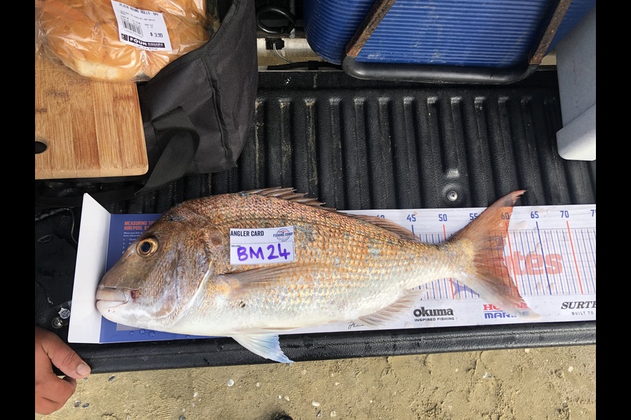 Nikki Tate caught this 58.5cm Snapper at Northland during The Export NZ Fishing Competition