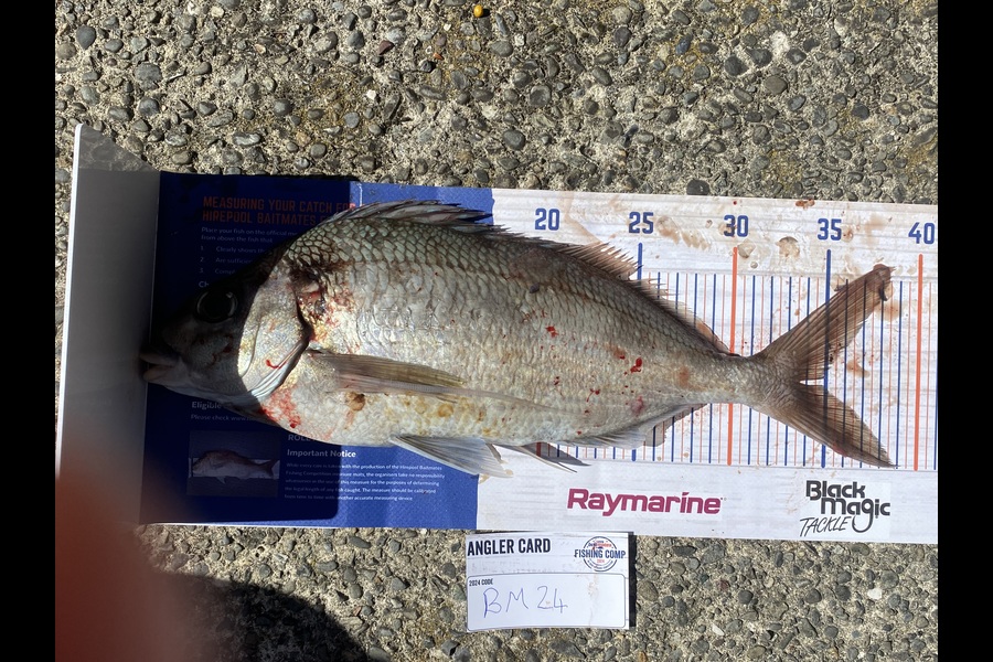 Ben Jones caught this 34.5cm Tarakihi at Nelson/Marlborough during The Export NZ Fishing Competition