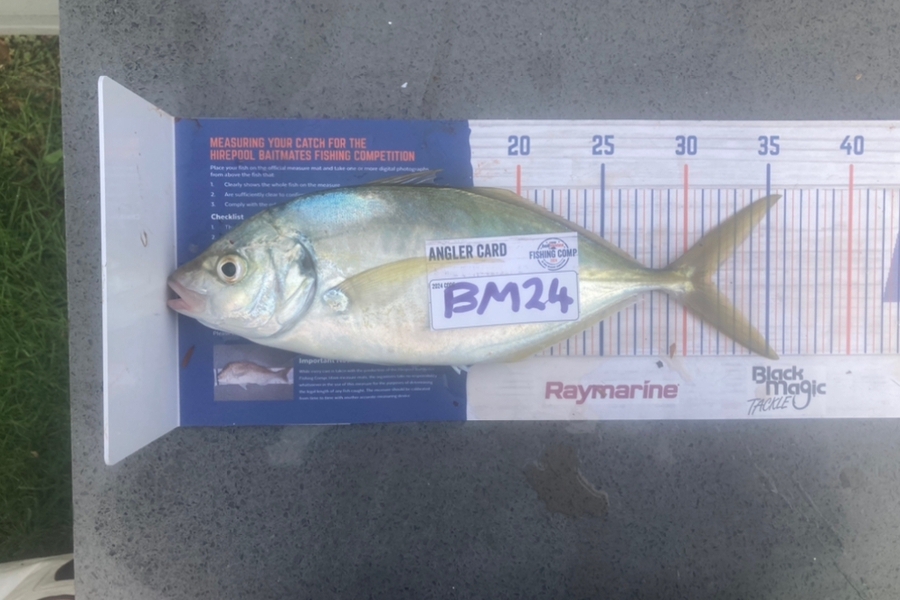 Piper Warmington caught this 31.5cm Trevally at Northland during The Export NZ Fishing Competition